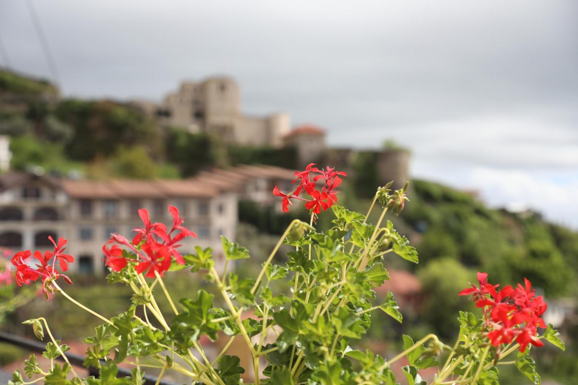 --Hotel Deal-- Rooms With Castle View Krujë 외부 사진